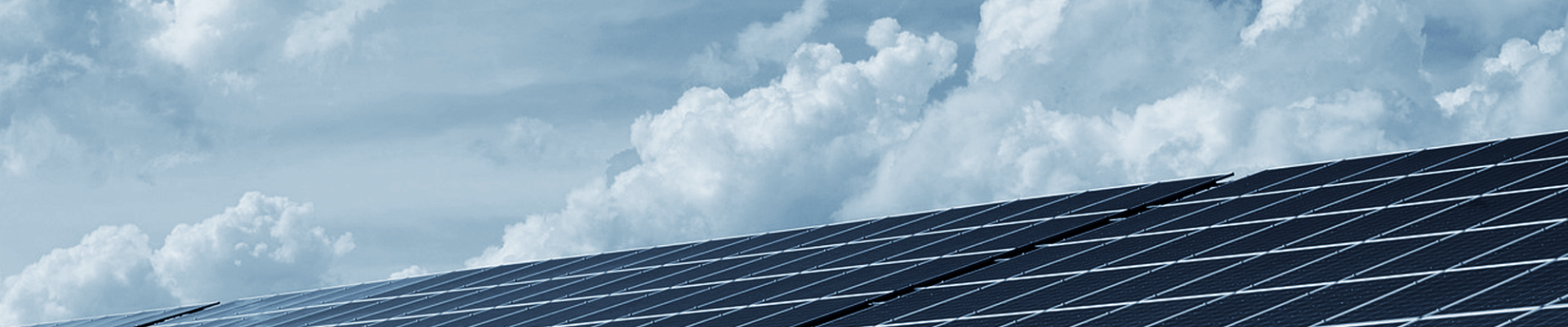 Salary Survey 2025 (4)